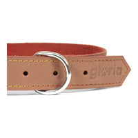 Hundhalsband Gloria Oasis Brun (55 x 2,5 cm) - Gloria | Valpoteket