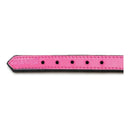 Hundhalsband Gloria Vadderad Fuchsia (40 x 2 cm) - Gloria | Valpoteket