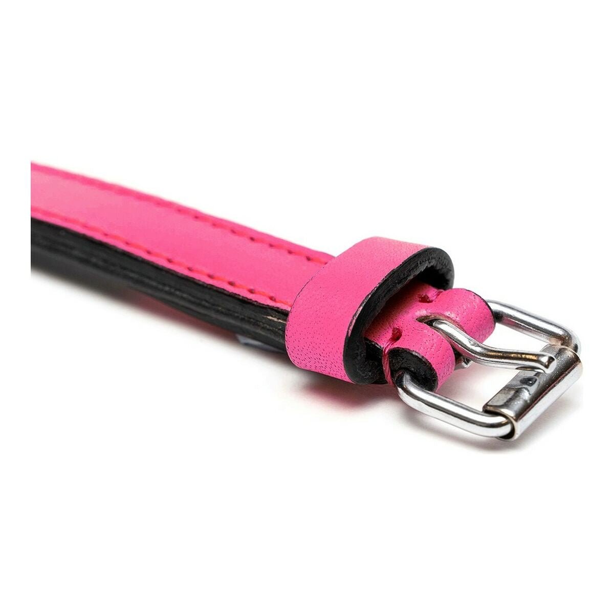 Hundhalsband Gloria Vadderad Fuchsia (40 x 2 cm) - Gloria | Valpoteket