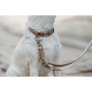 Hundhalsband Hunter Inari Beige 40-55 cm L - Hunter | Valpoteket