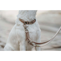 Hundhalsband Hunter Inari Beige M 30-45 cm - Hunter | Valpoteket