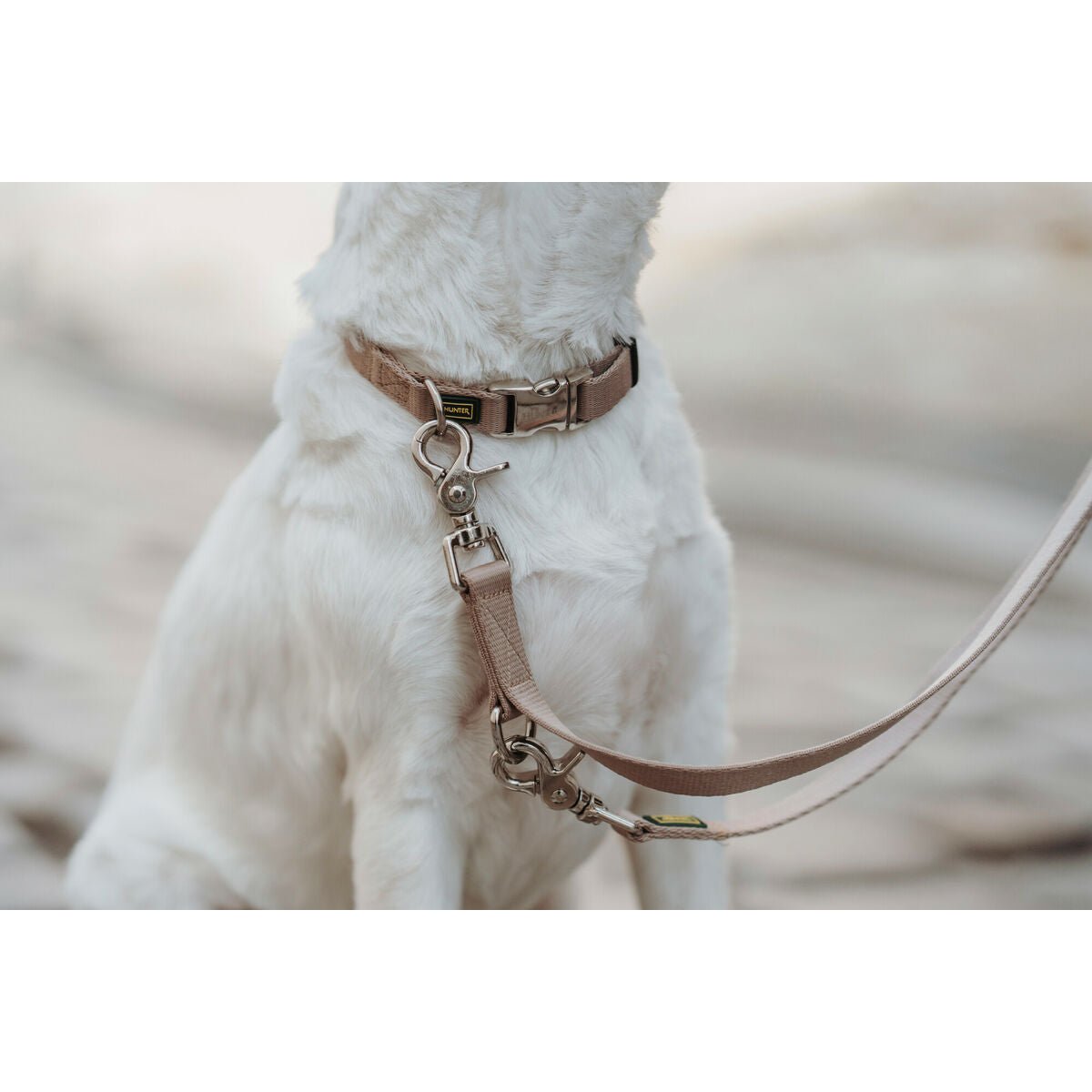 Hundhalsband Hunter Inari Beige XL 45-65 cm - Hunter | Valpoteket