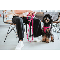 Hundsele Hunter Comfort Fuchsia S/M 48-55 cm - Hunter | Valpoteket