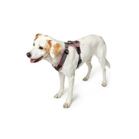 Hundsele Hunter Maldon Up Rosa 46-82 cm S/M - Hunter | Valpoteket