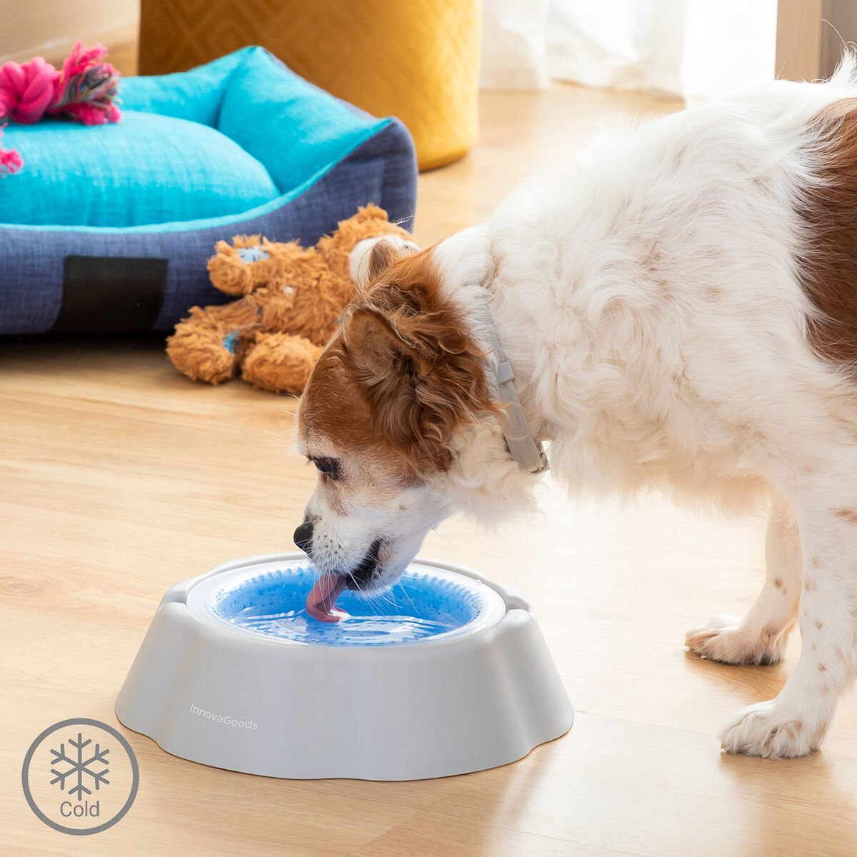 Cooling pet water bowl Freshty InnovaGoods