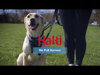 Anti-pull harness dog Halti black, S