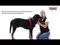 Training harness dog Halti black/red, M