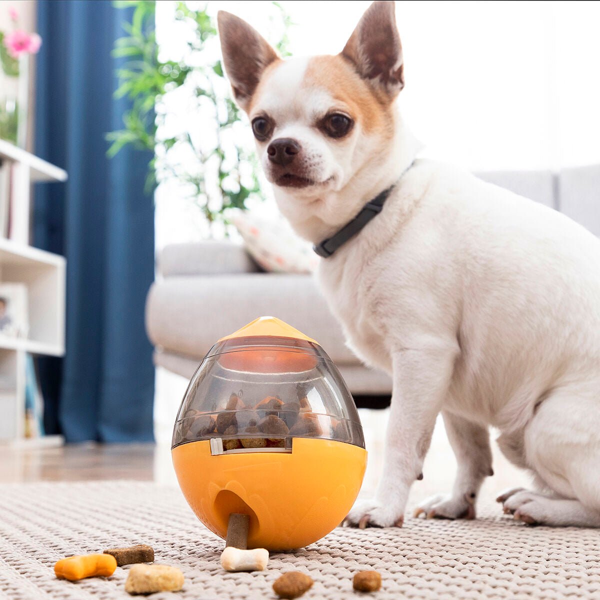 2-in-1 Candy dispenser toy for Pets Petyt InnovaGoods