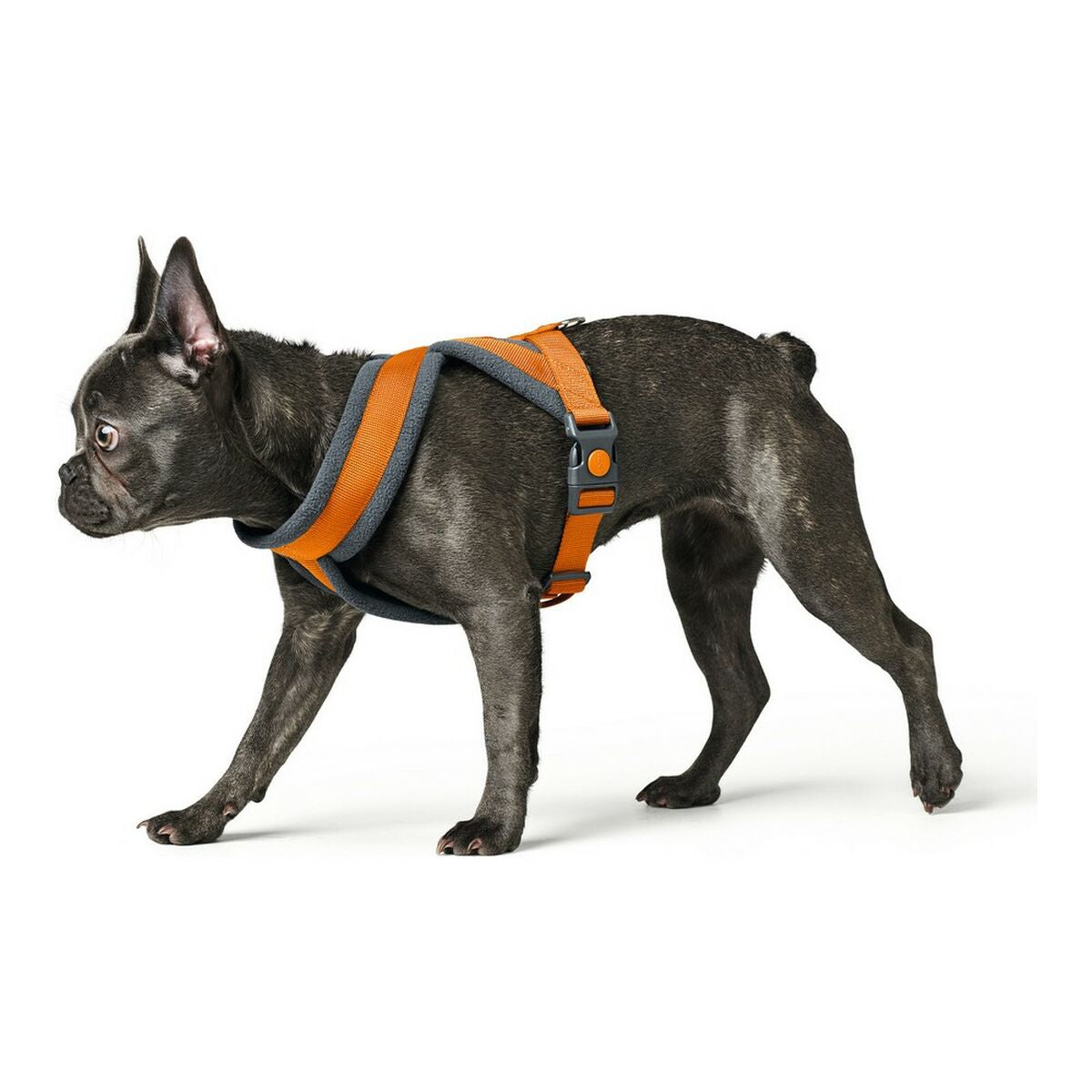 Hundsele Hunter London Comfort 48-56 cm Orange Storlek S/M - Hunter | Valpoteket