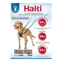 Antidragsele hund Halti svart, S - Company of Animals | Valpoteket