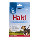 Antidragsele hund Halti svart, S - Company of Animals | Valpoteket