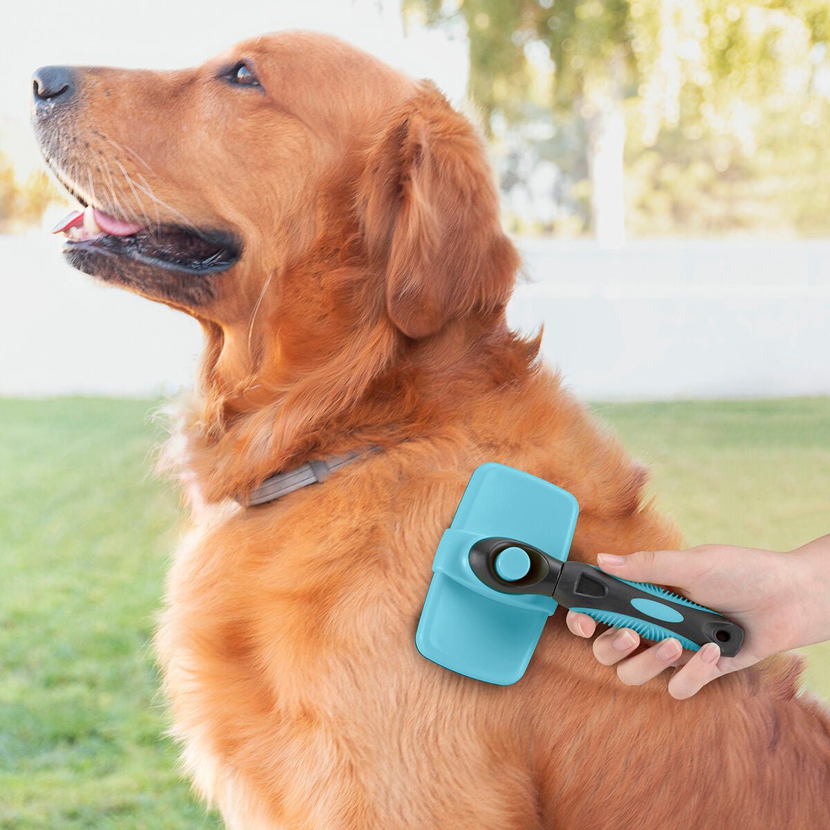 Brush for pets with retractable bristles Groombot InnovaGoods