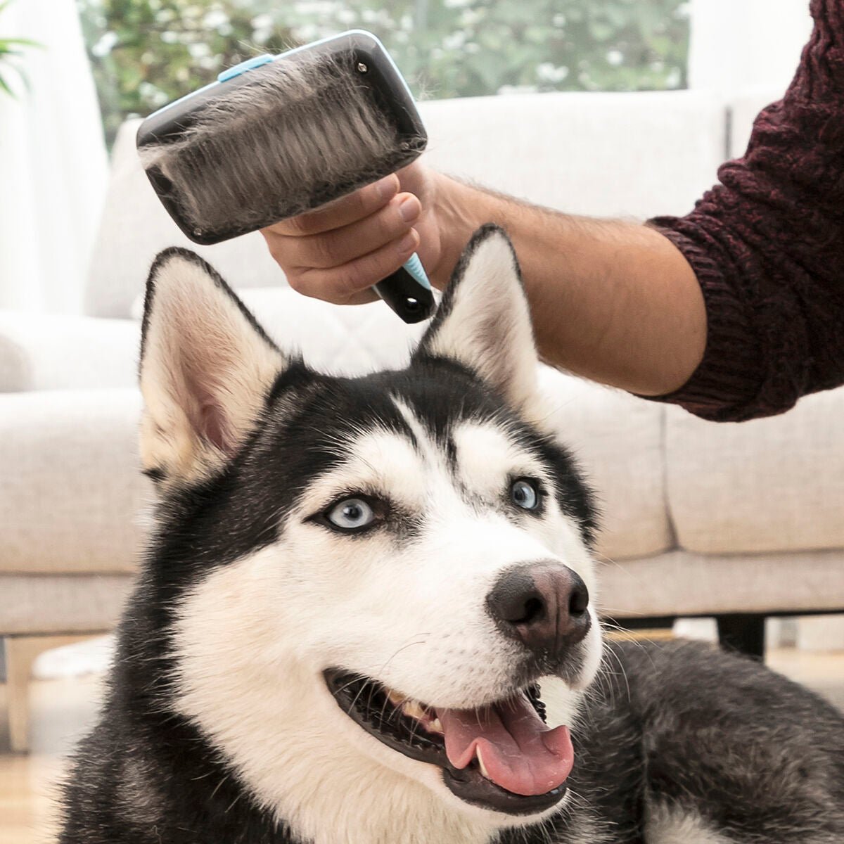 Brush for pets with retractable bristles Groombot InnovaGoods