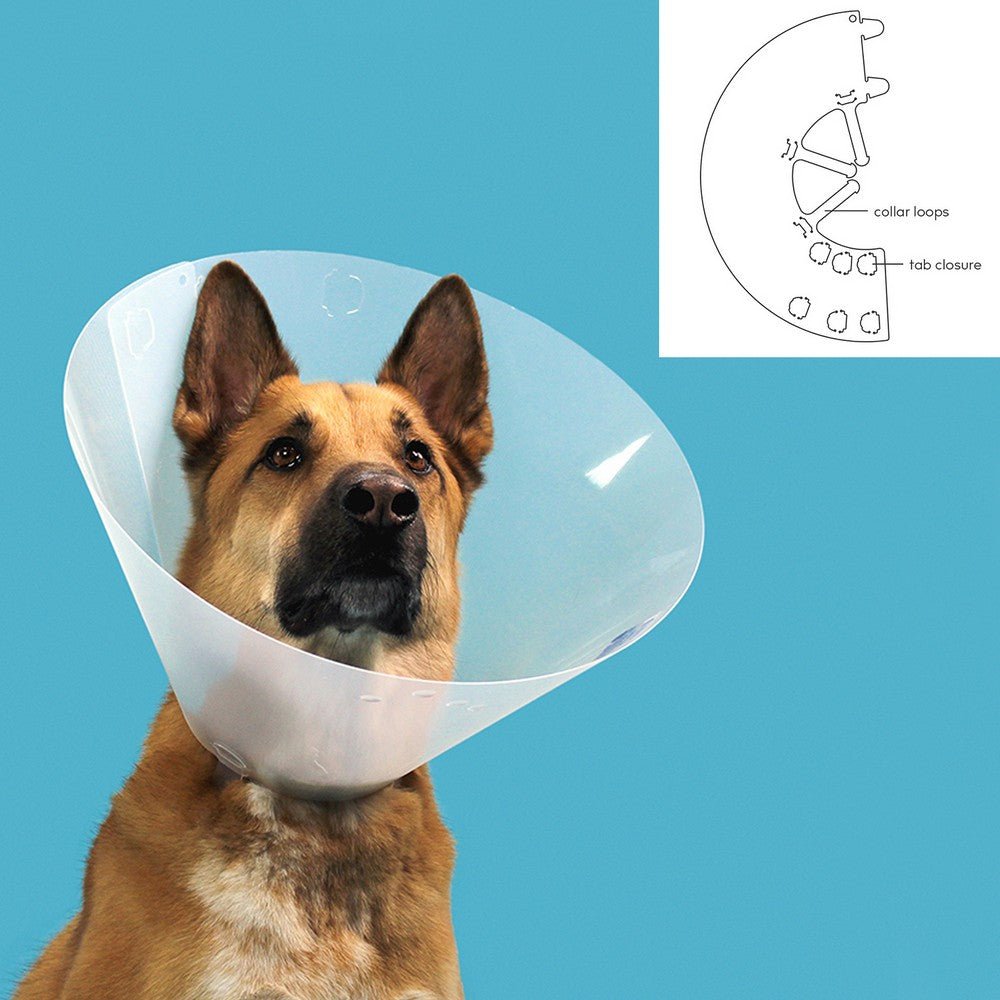 Elizabethan Dog Collar KVP Quick Fit Transparent (56-66 cm)