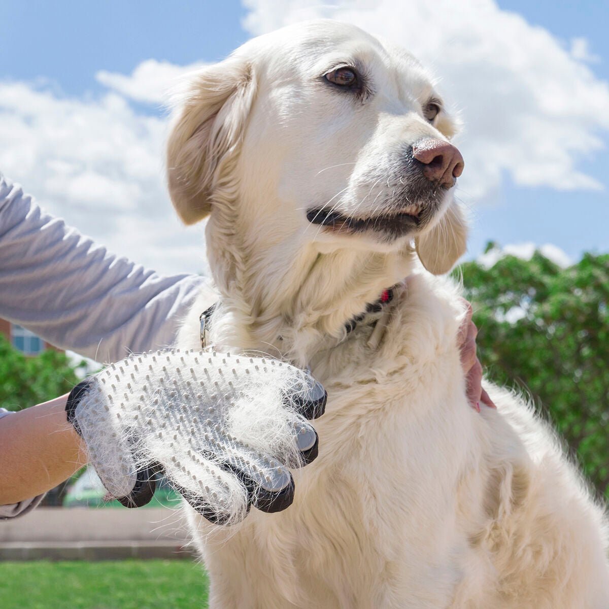 Glove for Brushing and Massaging Pets from Relpet InnovaGoods