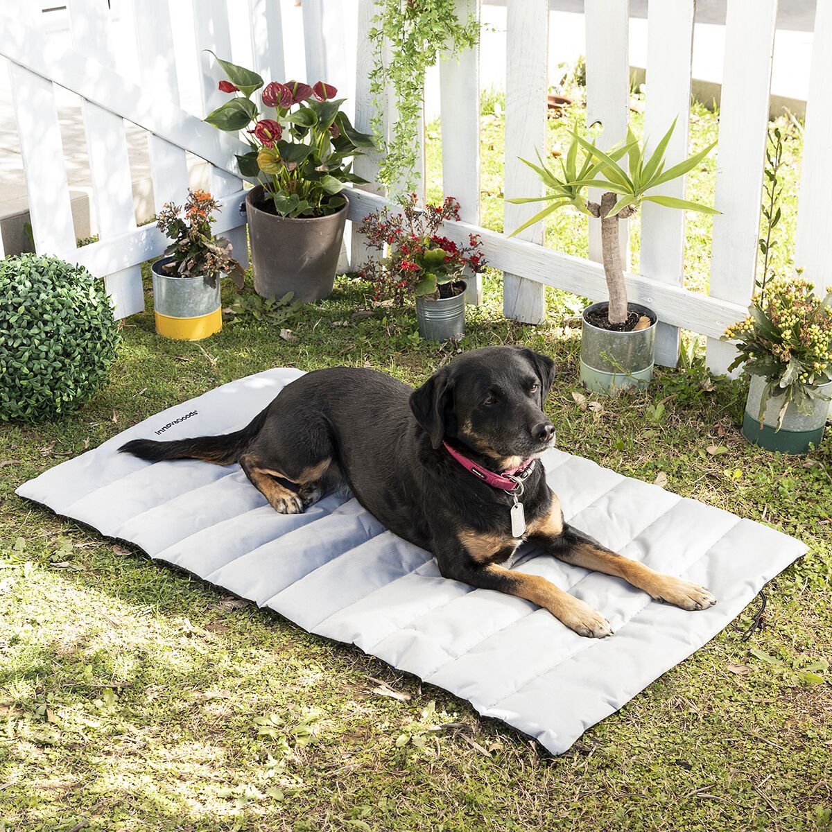 Dog bed | Portable &amp; waterproof