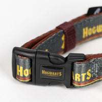 Hundhalsband Harry Potter Röd M - Harry Potter | Valpoteket