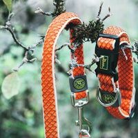 Hundhalsband Hunter Basic Tråd Orange Storlek S (30-43 cm) - Hunter | Valpoteket