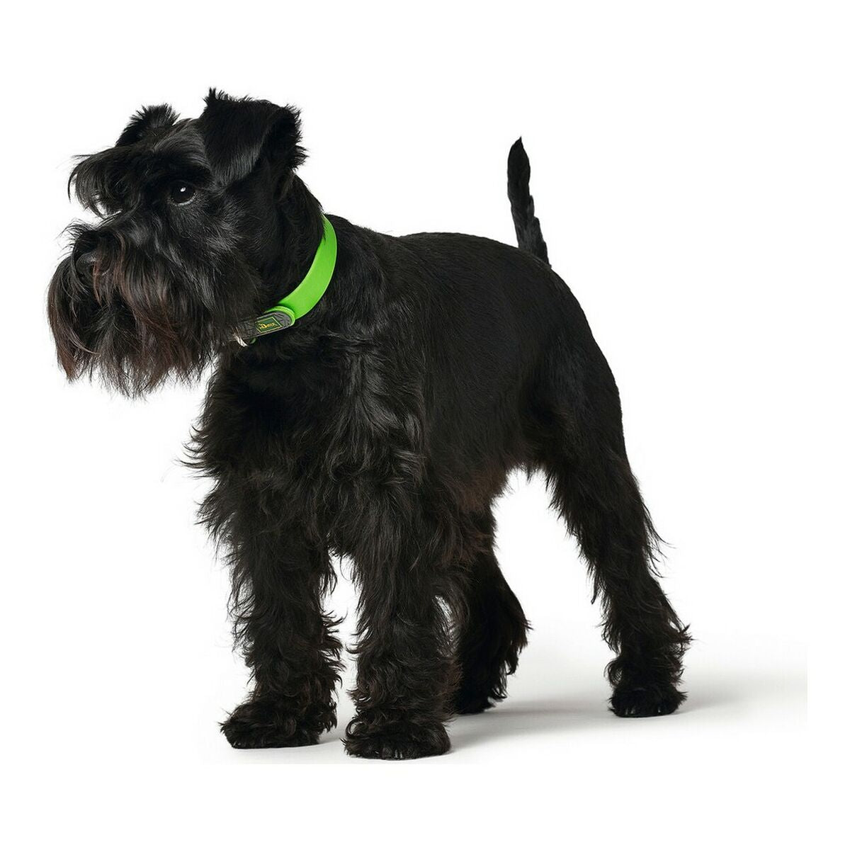 Hundhalsband Hunter Convenience Grön Storlek M/L (42-50 cm)