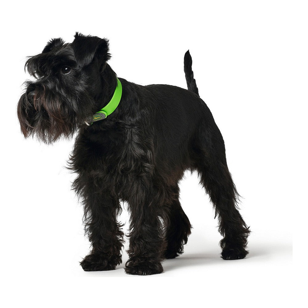 Hundhalsband Hunter Convenience Storlek S Grön (28-36 cm) - Hunter | Valpoteket