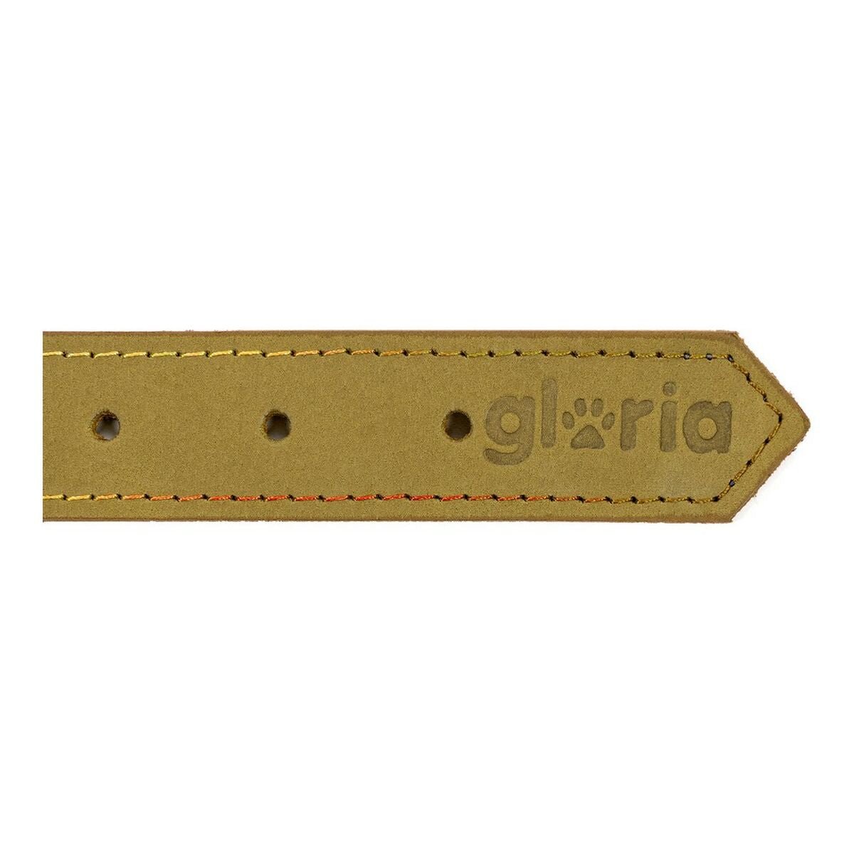 Hundhalsband läder Gloria Oasis Grön (35 x 1,2 cm)