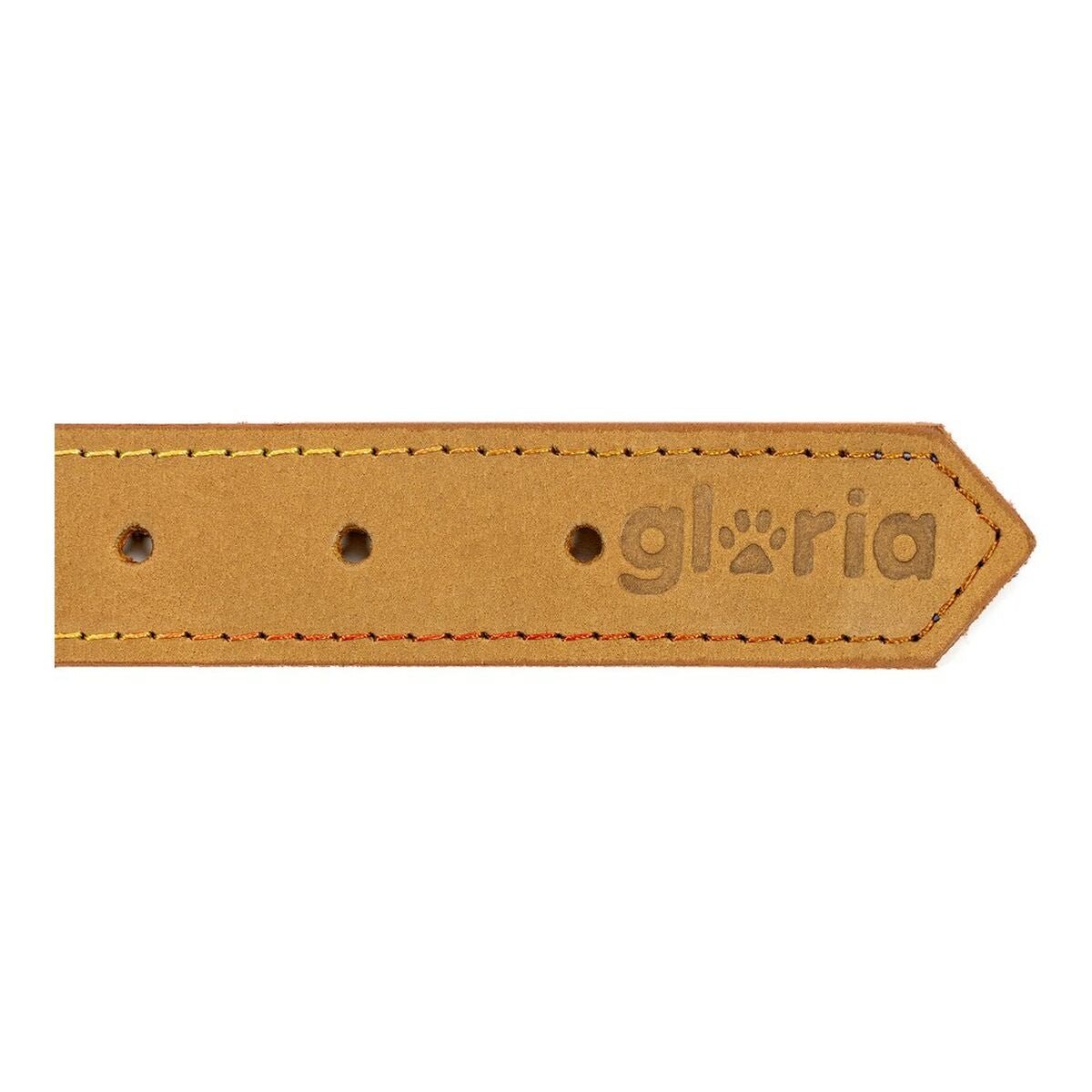 Hundhalsband läder Gloria Oasis Gul (35 x 1,2 cm) - Gloria | Valpoteket