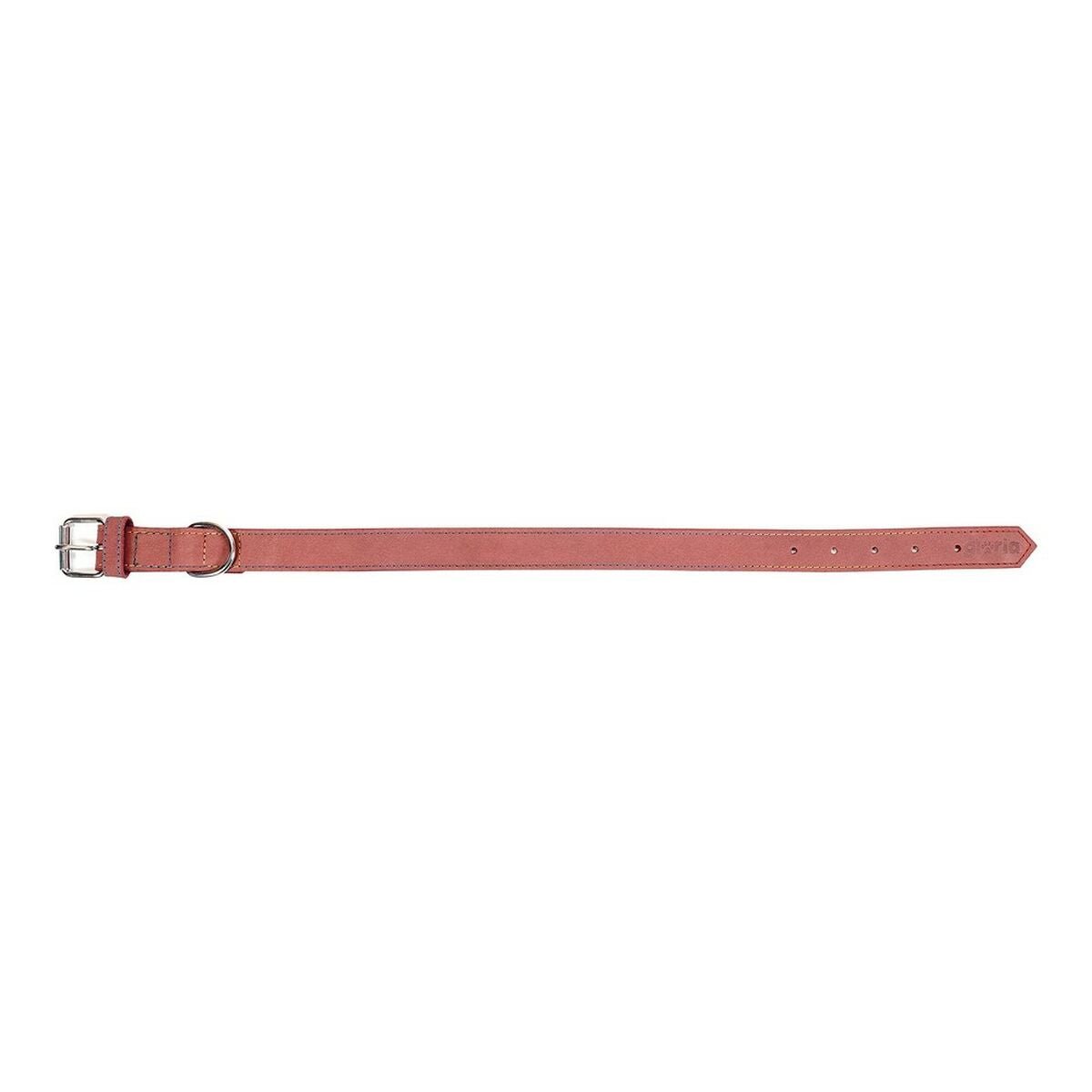 Hundhalsband läder Gloria Oasis Rosa (50 x 2,1 cm) - Gloria | Valpoteket