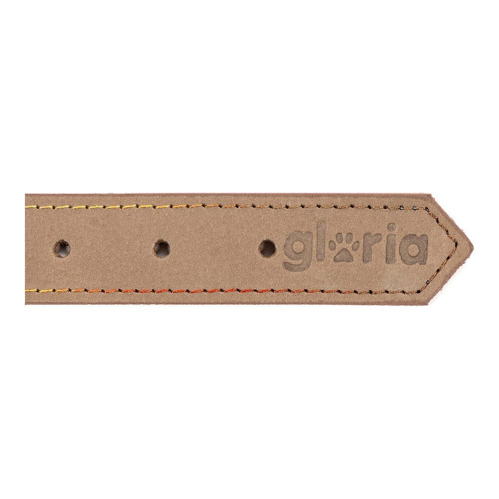 Hundhalsband läder Gloria Oasis Vit (60 x 3 cm)