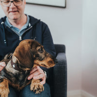 Hundhalsband läder Swiss | Enastående hantverk | Brun, S-M (42) - Hunter | Valpoteket