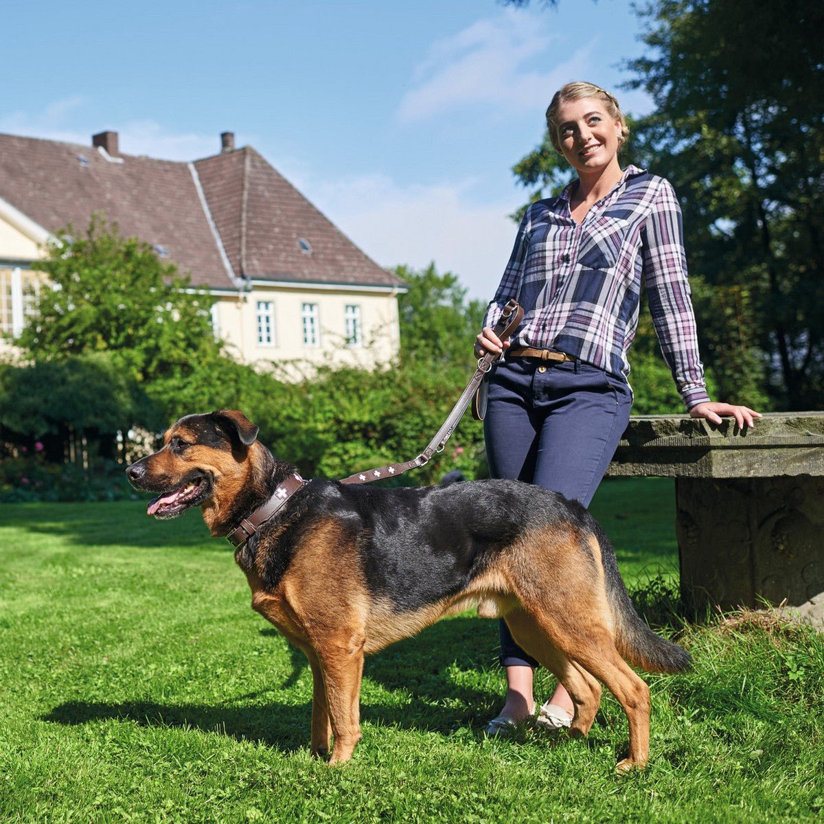 Hundhalsband läder Swiss | Enastående hantverk | Brun, S-M (50) - Hunter | Valpoteket