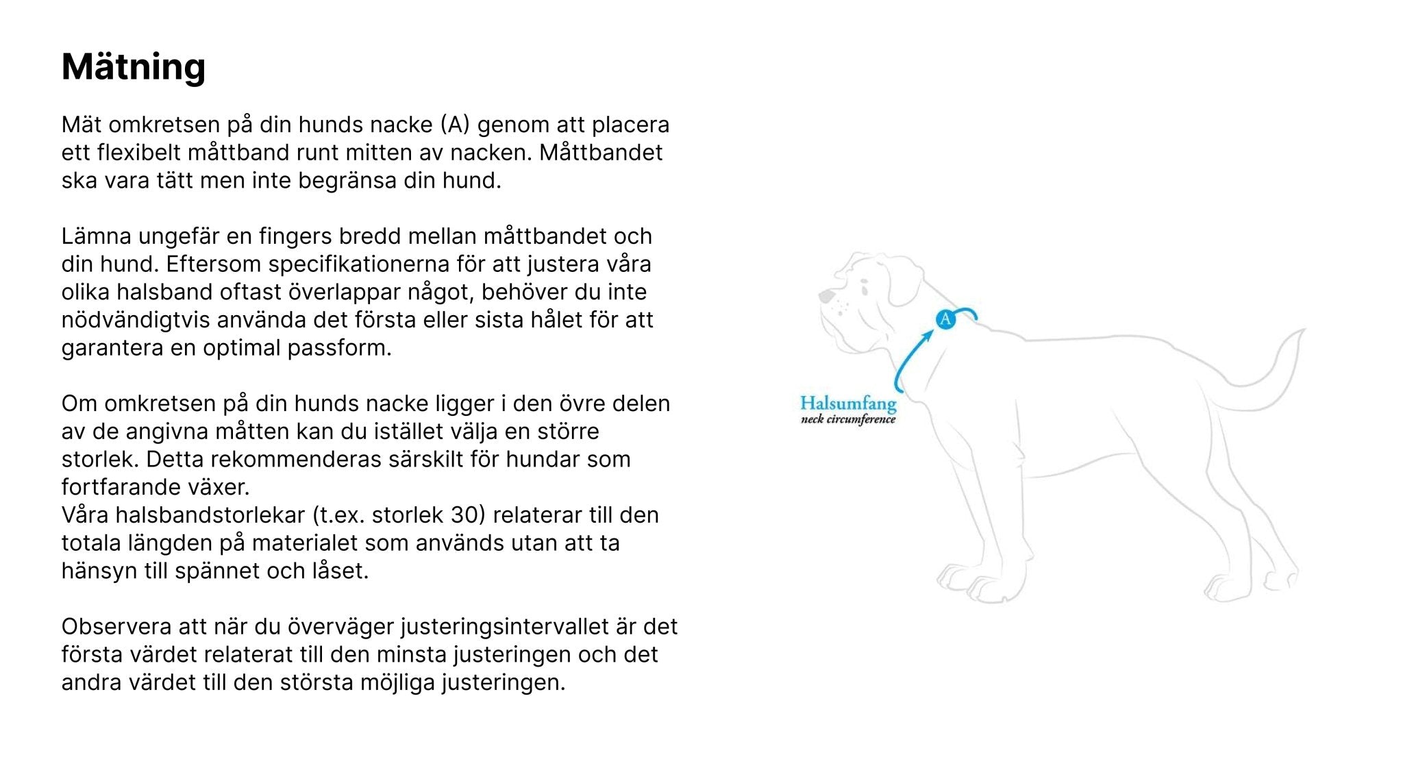 Hundhalsband läder Swiss | Enastående hantverk | Röd, S-M (42) - Hunter | Valpoteket