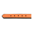 Hundhalsband läder vadderad Gloria orange (30 x 1,5 cm) - Gloria | Valpoteket