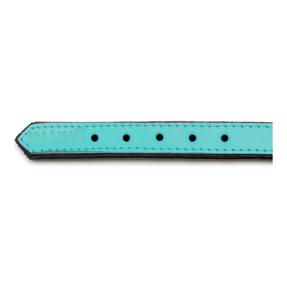 Dog collar leather padded Gloria turquoise (30 x 1.5 cm)