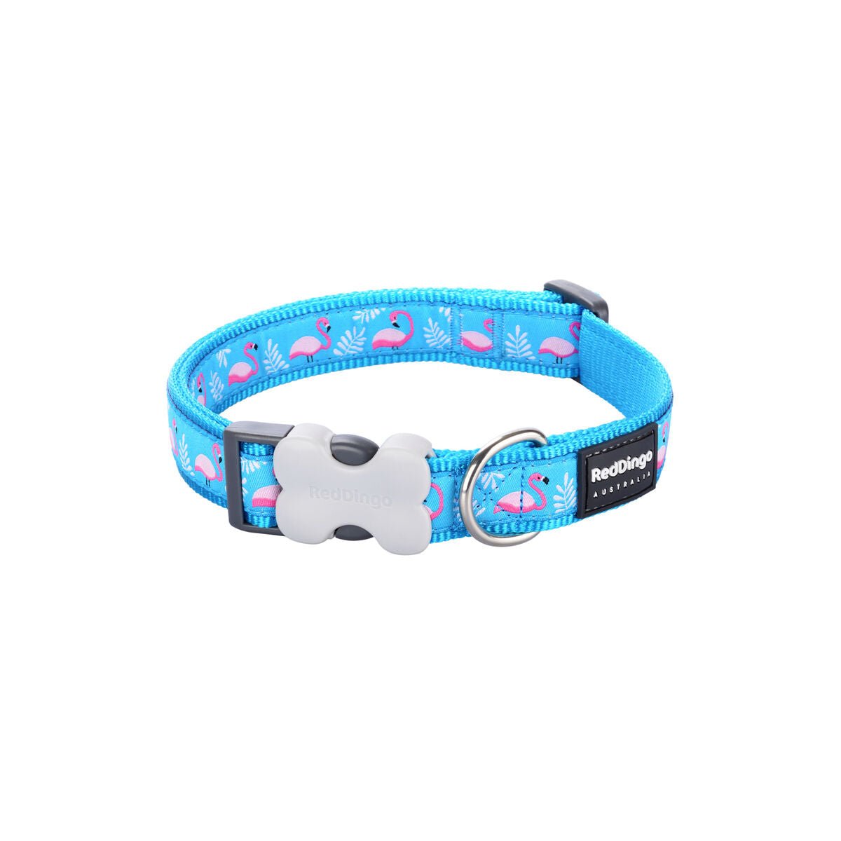 Dog collar Red Dingo STYLE FLAMINGO Turquoise