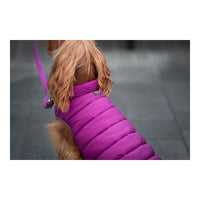 Hundjacka vinter puffer Red Dingo Rosa/Lila (25 cm) - Red Dingo | Valpoteket