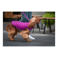 Hundjacka vinter puffer Red Dingo Rosa/Lila (35 cm) - Red Dingo | Valpoteket