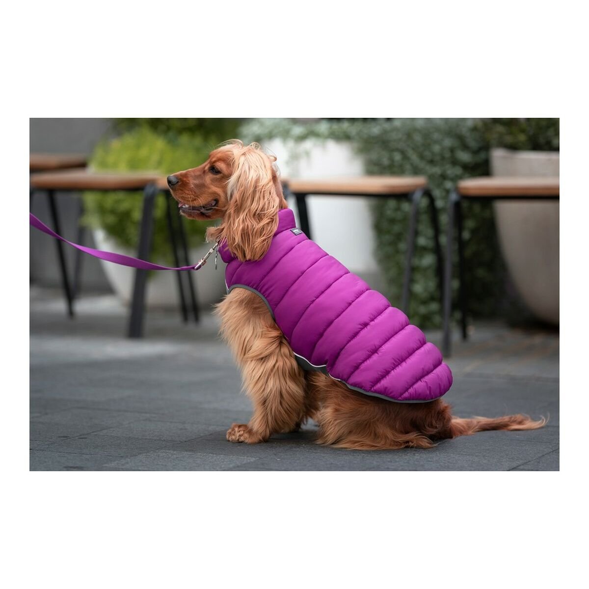 Hundjacka vinter puffer Red Dingo Rosa/Lila (45 cm) - Red Dingo | Valpoteket