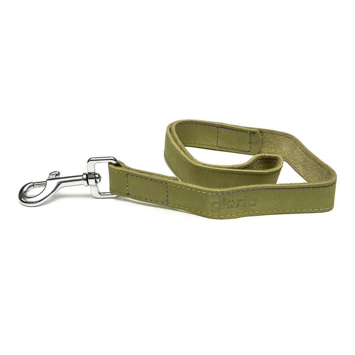 Dog leash Gloria Oasis 2.1 x 100 cm Green