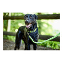 Hundkoppel Hunter HILO Lime (200 cm) - Hunter | Valpoteket