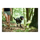 Hundkoppel Hunter HILO Lime (200 cm) - Hunter | Valpoteket