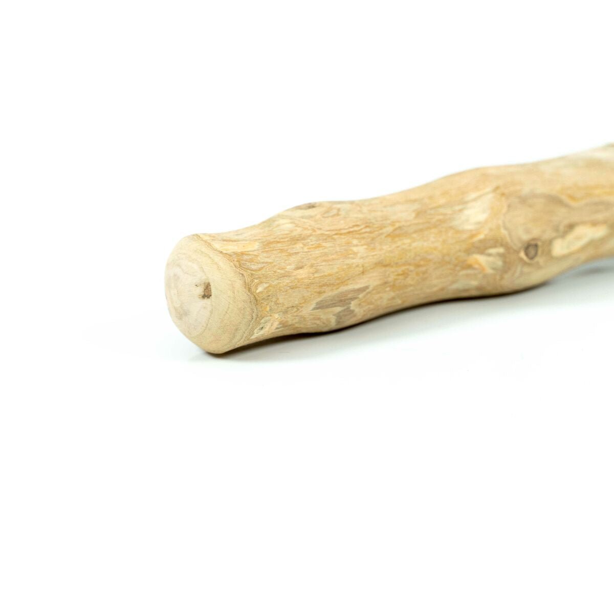 Dog toy Gloria Stick XS Tough Wood (1 quantity)