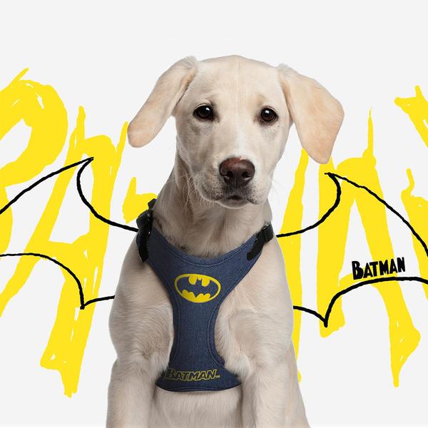 Hundsele Batman XXS/XS Blå - Batman | Valpoteket