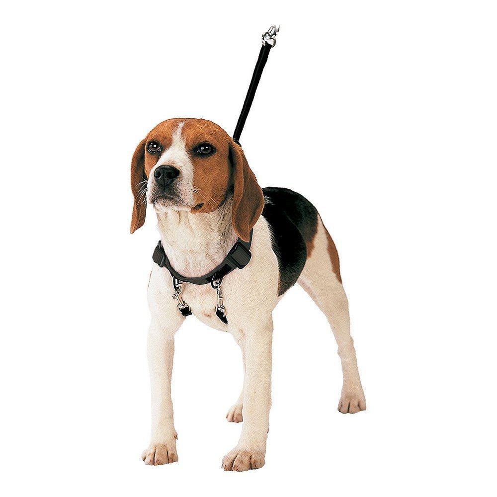 Dog harness Gloria 30-42 cm Size M