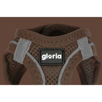 Hundsele Gloria 31-34,6 cm Brun S 27-28 cm - Gloria | Valpoteket