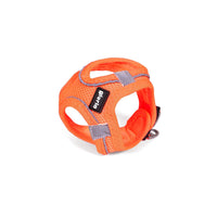 Hundsele Gloria Trek Star 24-26 cm 28-28,6 cm Orange XXS - Gloria | Valpoteket