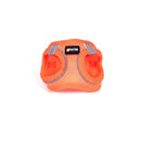 Hundsele Gloria Trek Star 27-28 cm 31-34,6 cm Orange XS - Gloria | Valpoteket