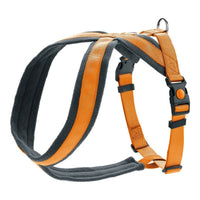 Hundsele Hunter London Comfort Orange M 57-70 cm - Hunter | Valpoteket