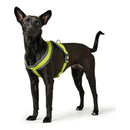 Hundsele Hunter London Comfort XS-S 39-47 cm Lime - Hunter | Valpoteket