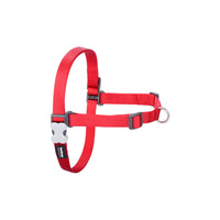 Hundsele Red Dingo 84-119 cm Röd XL - Red Dingo | Valpoteket