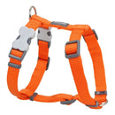 Hundsele Red Dingo Slät 25-39 cm Orange - Red Dingo | Valpoteket